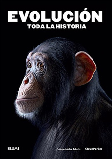 EVOLUCION TODA LA HISTORIA