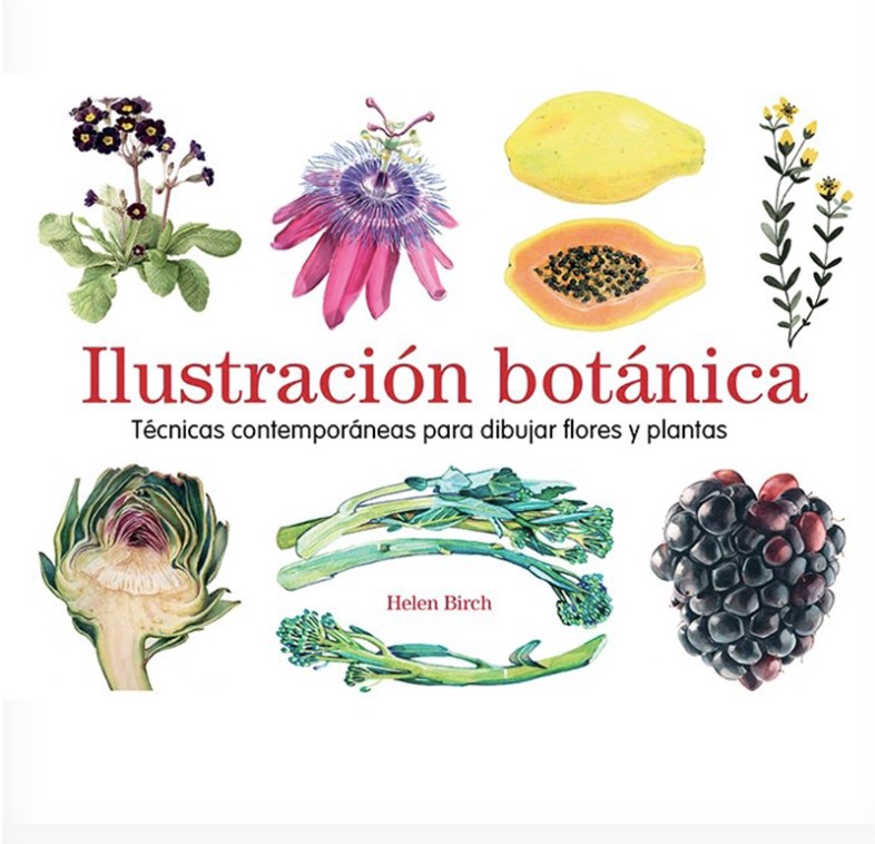 ILUSTRACION BOTANICA